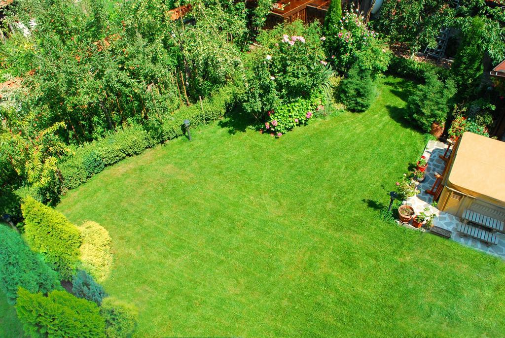 Guest House Chicho Tsane Bansko Exteriör bild